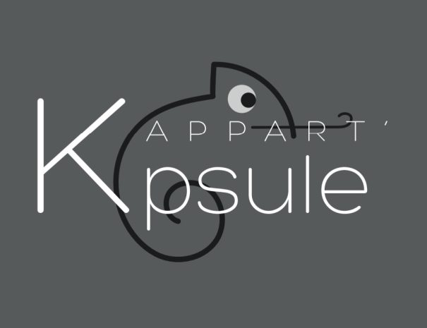 Résidence Kméléon : Logements de courte durée au Mans. Passez d'agréables séjours en famille, entre amis ou pour le travail.